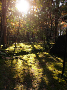 PB253514shuusei.jpg