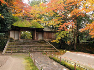 PB253526shuusei.jpg