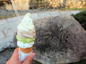 PB253540shuusei.jpg