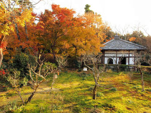 PB253584shuusei.jpg