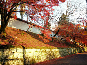 PB253625shuusei.jpg