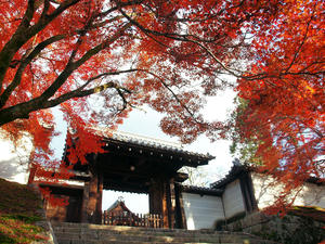 PB253560shuusei.jpg