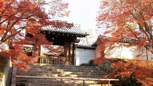 PB253568shuusei.jpg
