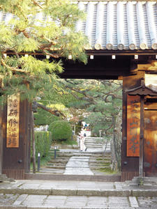 PB253637shuusei.jpg