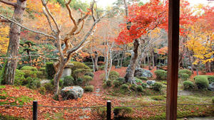 PB253654shuusei.jpg