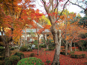 PB253668shuusei.jpg