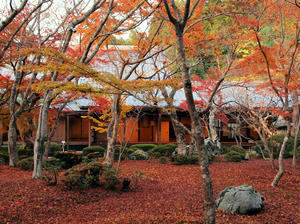 PB253692shuusei.jpg
