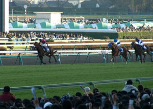 PC231008shuusei.jpg