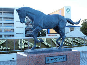 20091227_6shuusei.jpg