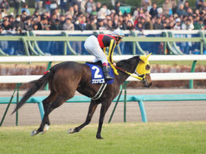 20091227_262shuusei.jpg