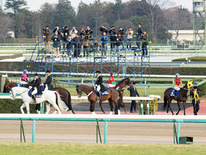 20091227_192shuusei.jpg