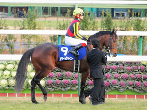 20091227_254shuusei.jpg