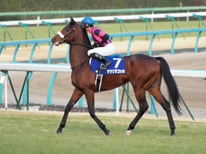 20091227_217shuusei.jpg