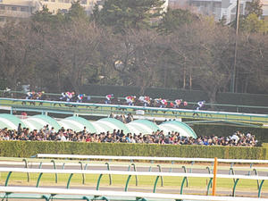 20091227_291shuusei.jpg