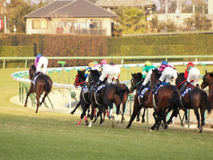 20091227_324shuusei.jpg