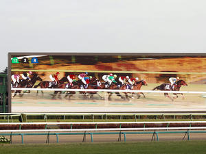 20091227_341shuusei.jpg