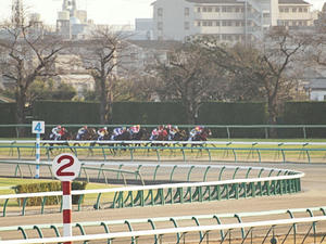 20091227_348shuusei.jpg
