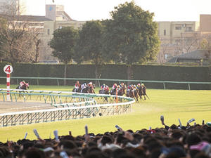 20091227_352shuusei.jpg