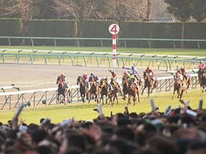 20091227_360shuusei.jpg