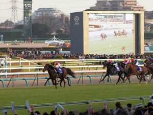 20091227_380shuusei.jpg