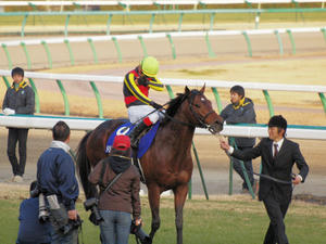 20091227_410shuusei.jpg