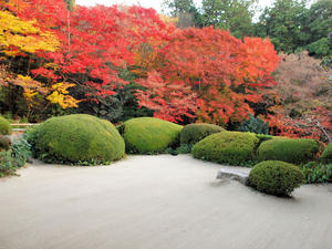 PB253698shuusei.jpg