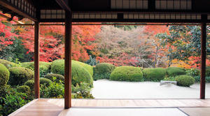 PB253710shuusei.jpg