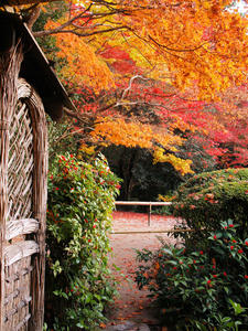 PB253727shuusei.jpg
