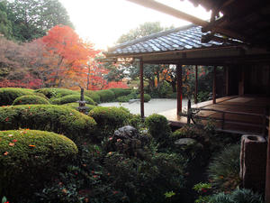 PB253732shuusei.jpg