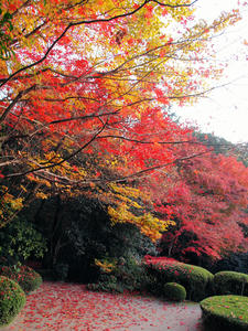 PB253746shuusei.jpg