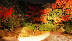 PB253902shuusei.jpg