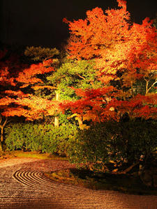 PB253909shuusei.jpg
