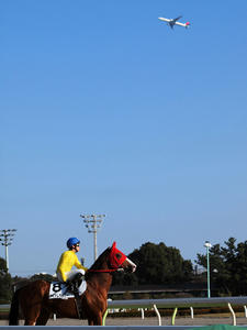 20091229_35shuusei.jpg
