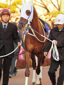 20091229_124shuusei.jpg