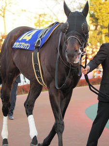 20091229_154shuusei.jpg