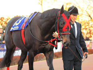20091229_190shuusei.jpg