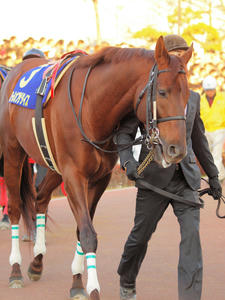 20091229_196shuusei.jpg