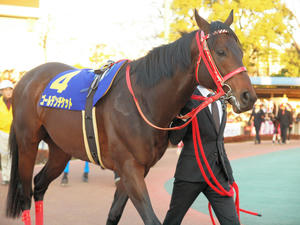 20091229_259shuusei.jpg