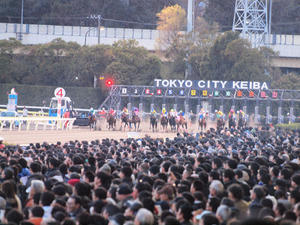 20091229_534shuusei.jpg