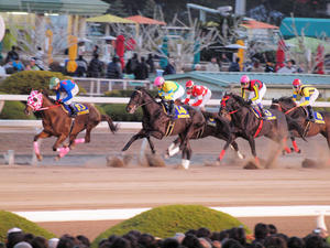 20091229_547shuusei.jpg