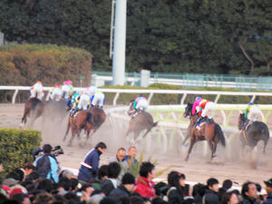 20091229_571shuusei.jpg
