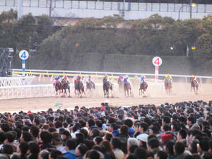 20091229_596shuusei.jpg