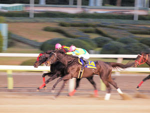 20091229_617shuusei.jpg