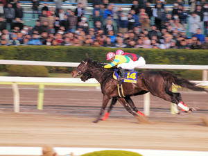 20091229_622shuusei.jpg