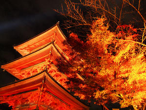 PB253959shuusei.jpg