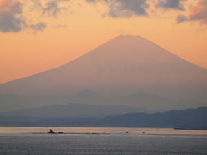 PC025584shuusei.jpg