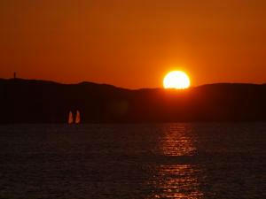 1230892006.jpg