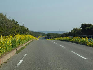 P2030412shuusei.jpg