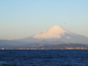 20100101_157shuusei.jpg