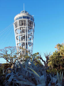 20100101_264shuusei.jpg